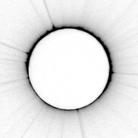 Black And White Space GIF by xponentialdesign