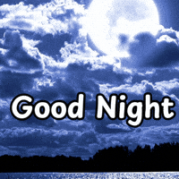 Sleepy Good Night GIF