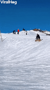 Adorable Golden Is Her Own Sled GIF by ViralHog