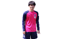 Cerezo Sticker by セレッソ大阪
