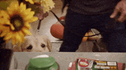 HallmarkChannel love friendship hallmark hallmark channel GIF