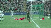 portland timbers football GIF by Timbers