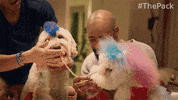 The Pack Dogs GIF by Amazon Prime Video