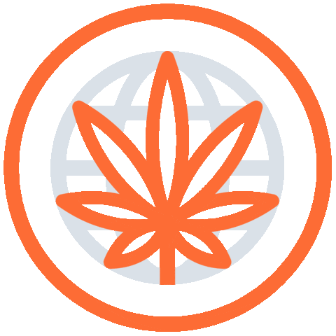 line map Sticker by AWE Collective