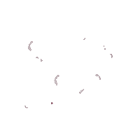 Cherry Blossom Flowers Sticker by Arlene Cycle Support