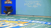 Football Playing GIF by Hallmark Channel