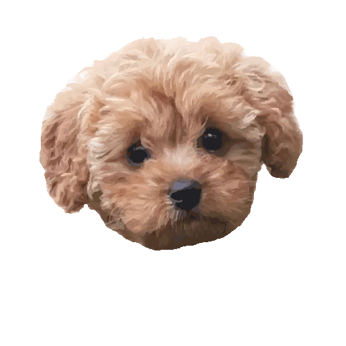 Dog Puppy Sticker