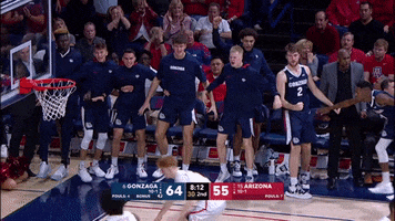 GonzagaBulldogs celebration basketball bench gonzaga GIF