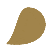 zahletrend abstract line formas abstrato Sticker