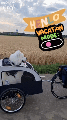 Dog Bicycle GIF