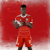 American Football GIF by FC Bayern Munich