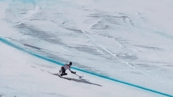 Paralympic Games Ski GIF by International Paralympic Committee