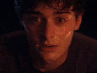 Will Stranger Things GIF