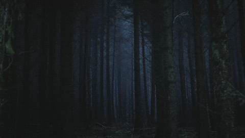 Halloween Forest GIF
