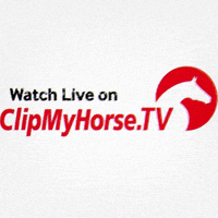 ClipMyHorse  GIF