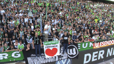 football party GIF by VfL Wolfsburg