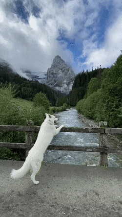 ehdgus1211 giphyupload GIF
