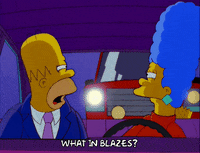 homer simpson GIF
