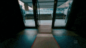 Football Soccer GIF by FC Schalke 04