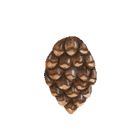 Glow Christmas Tree Sticker