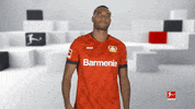 Waving Come On GIF by Bundesliga
