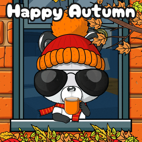 Happy Fall GIF by PandaPals