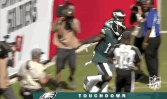 philadelphia eagles football GIF by NFL