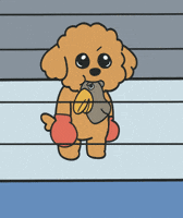 Pon GIF