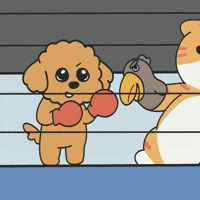 Boxing GIF