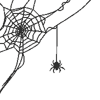 Spider Web Party Sticker by Eurocarnavales