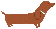 Dog Puppy Sticker by The Paper Bunny