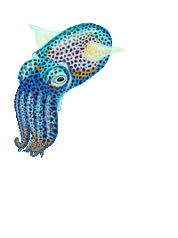 owlandbearstudio hawaii diving octopus scuba Sticker