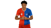 Football Love Sticker by HSV