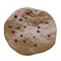 Chocolate Chip 3D Sticker