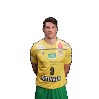 VfLEintrachtHagen handball no no no foul red card Sticker