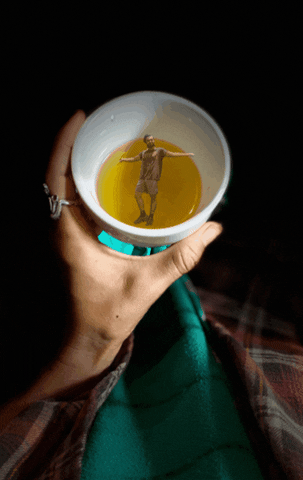 ForgottenForest giphygifmaker giphygifmakermobile GIF