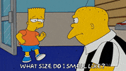 Episode 5 GIF by The Simpsons