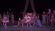 sleeping beauty castle GIF by New York City Ballet