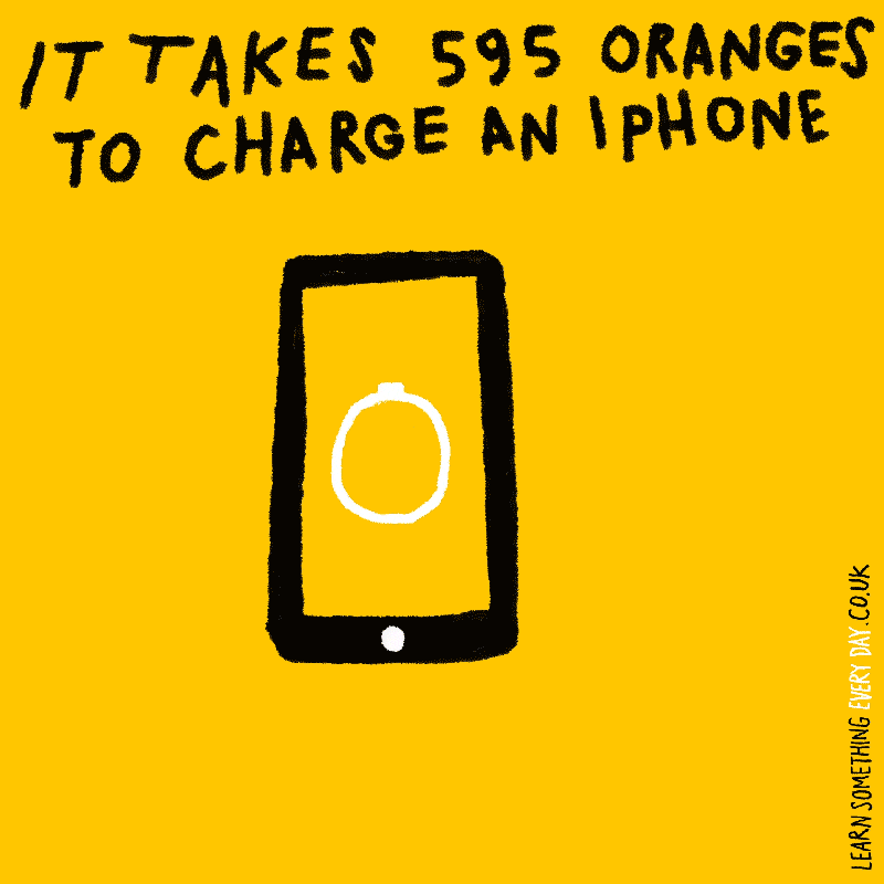 orange wtf GIF by Learn Something Every Day