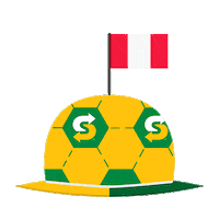football futbol Sticker by Subway Colombia