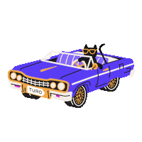 Travel Roadtrip Sticker by Turo