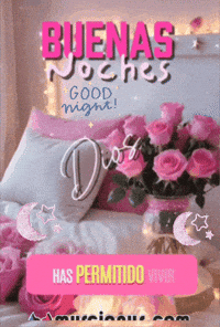 Good Night Gracias GIF by Murcianys LLC