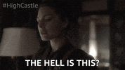 Amazon Prime Video GIF by The Man in the High Castle