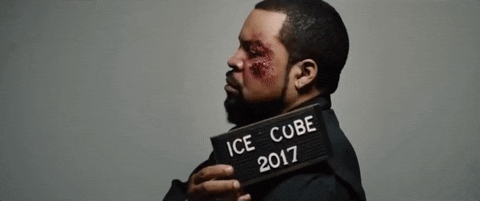 Good Cop Bad Cop Mugshot GIF by Ice Cube