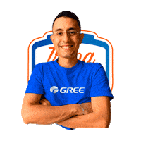 Gree Sticker by GreeBrasil