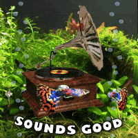 Sounds Good GIF