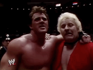 brutus beefcake wrestling GIF by WWE