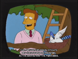 season 10 episode 3 GIF