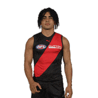 Dons Bombers Sticker by Essendon FC