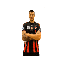 cavigalnicehand nice handball asterix rossi Sticker